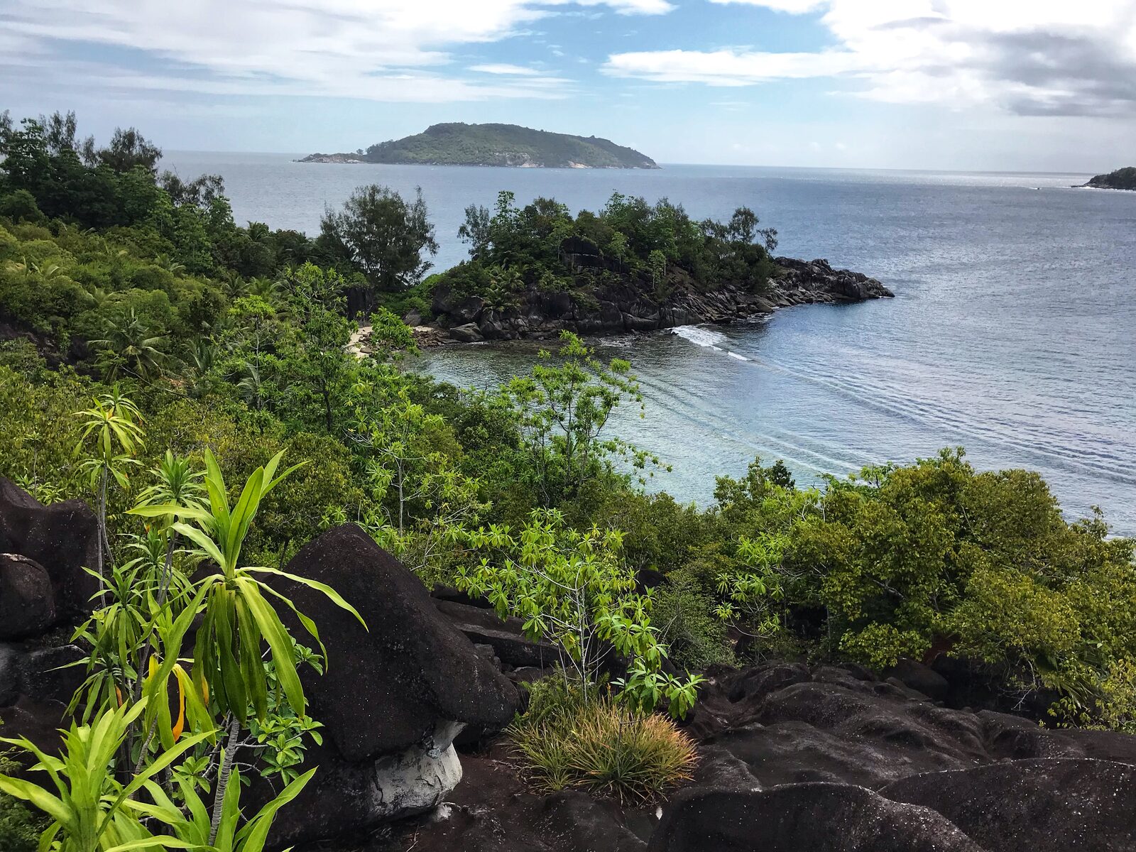 Anse Source d'Argent shoreline