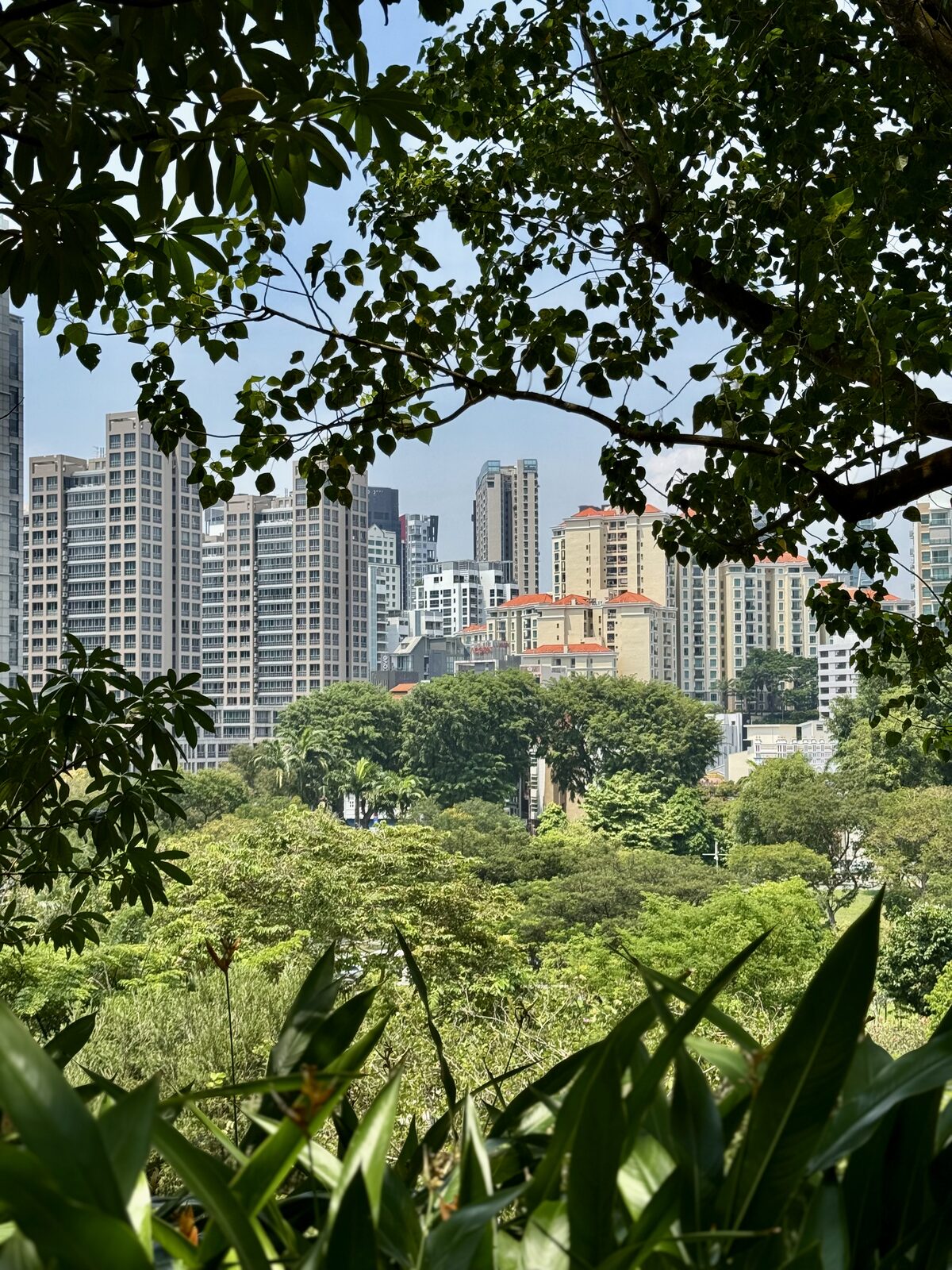 Singapore architectural geometry