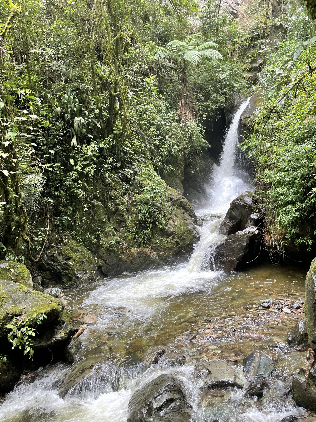 Highland village, Colombia