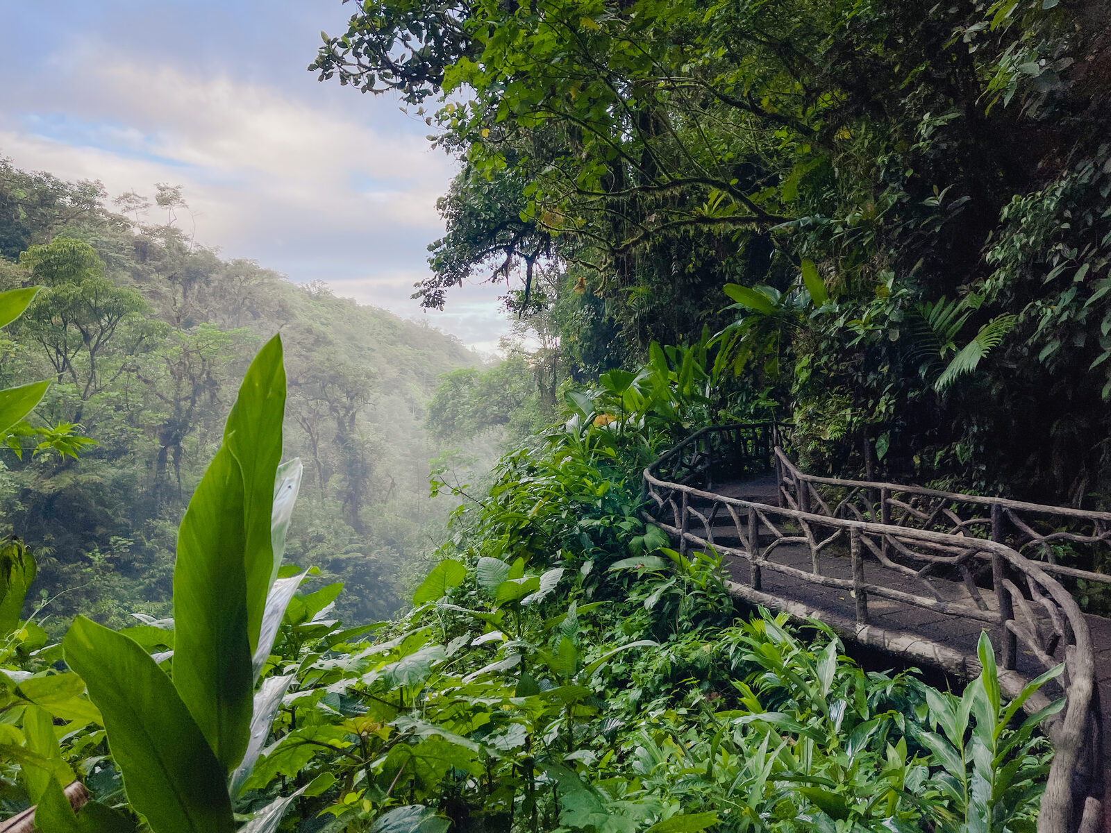 Costa Rican coastal vista