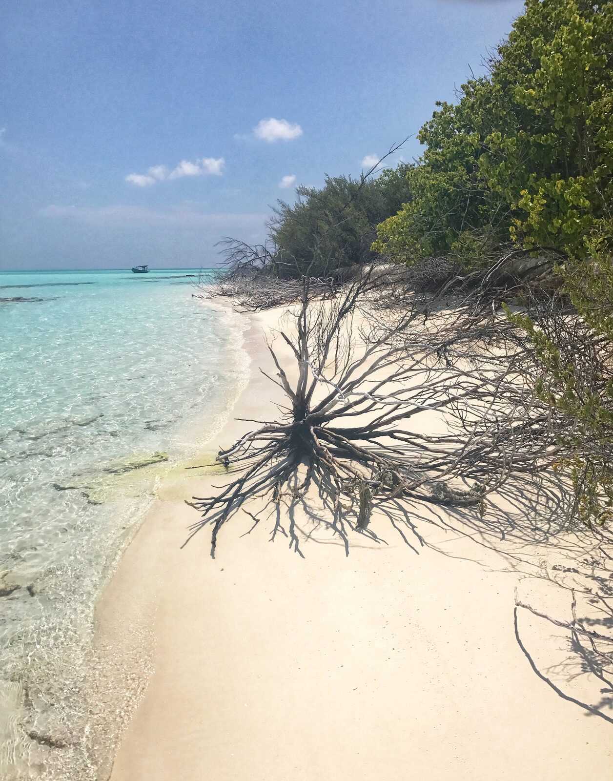 Aerial view of an atoll