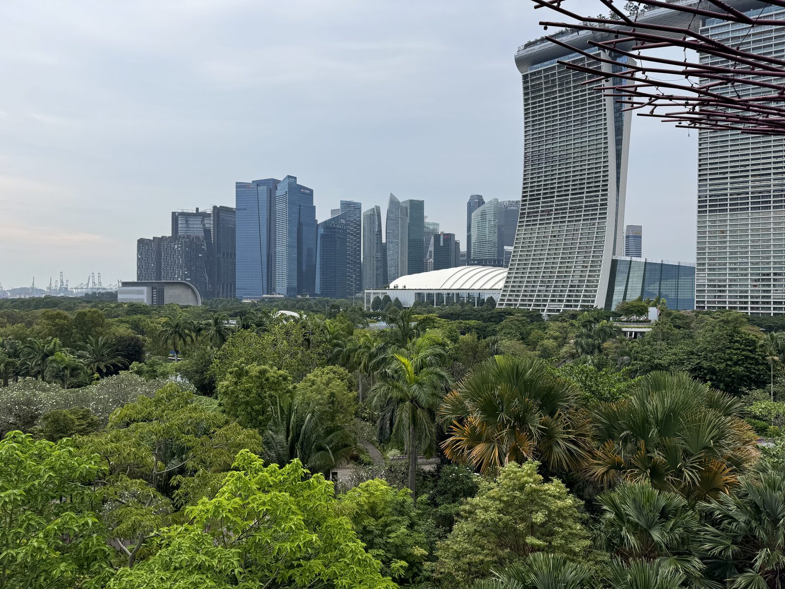 Gardens by the Bay Supertree Grove