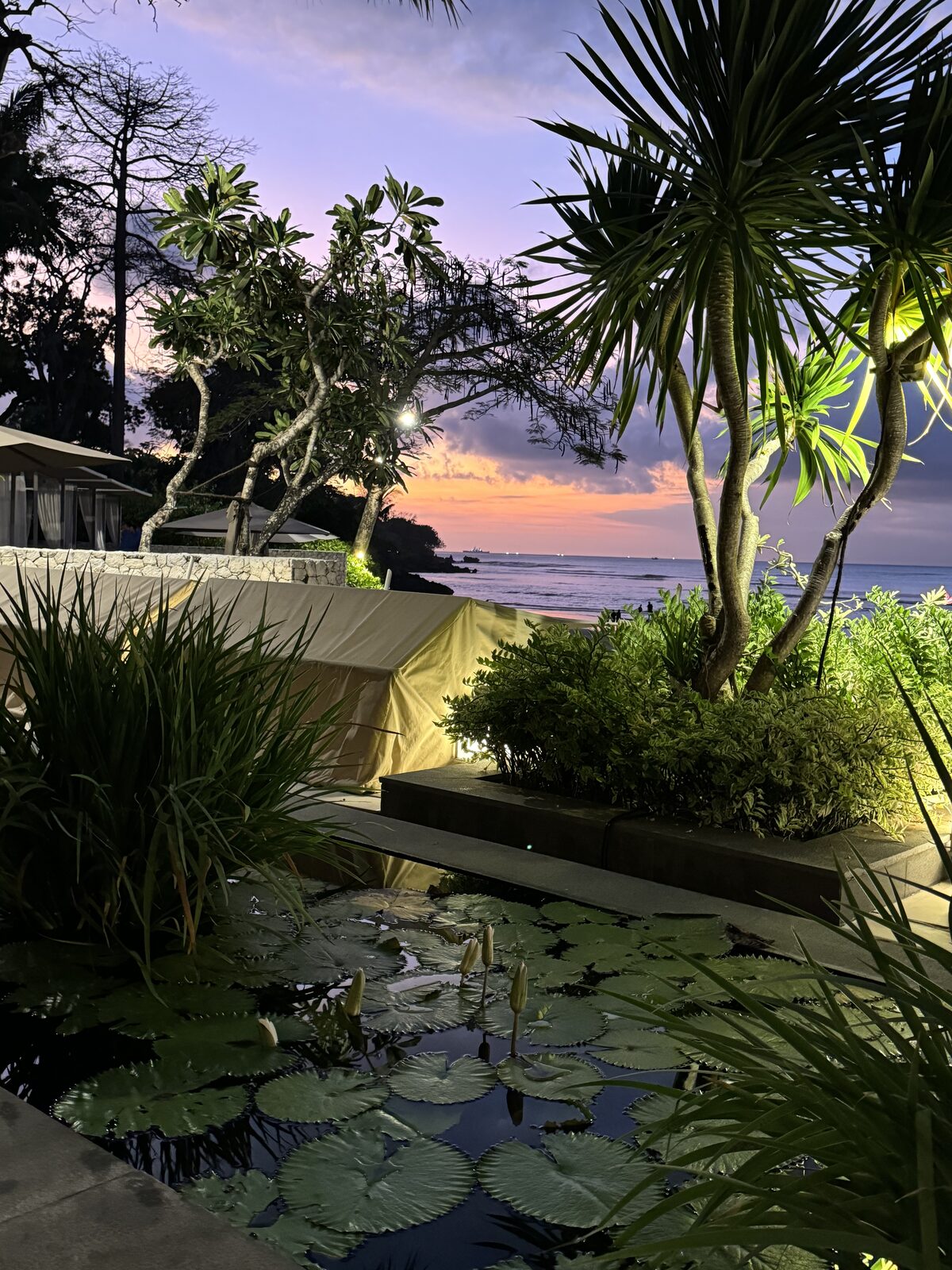 Lily pond and pastel sunset over Bali coastline
