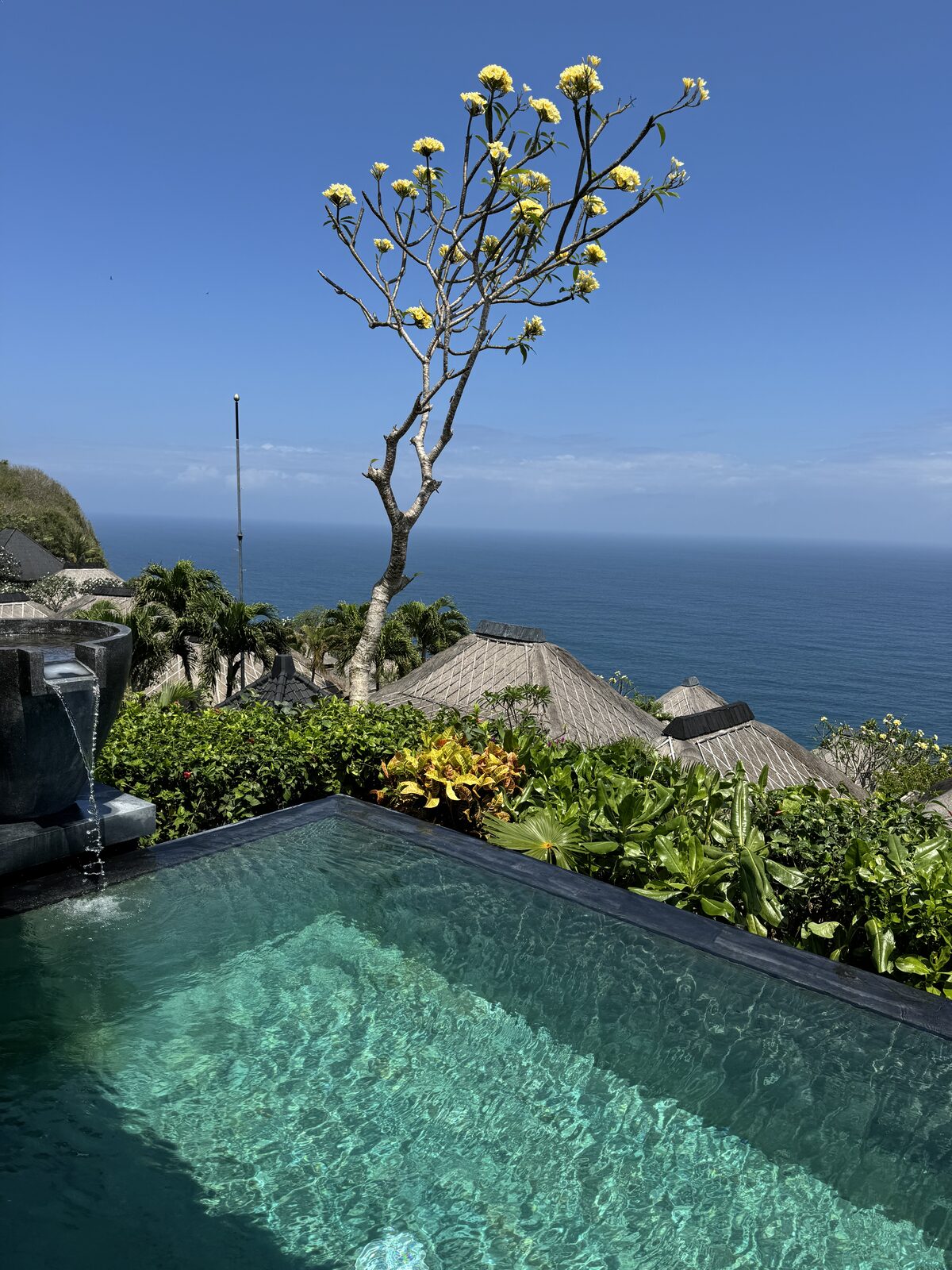 Jungle-view villa bathtub with banana leaves