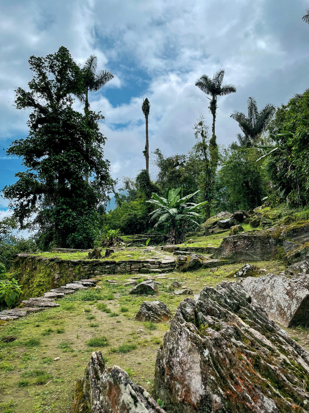 Tropical Colombian landscape