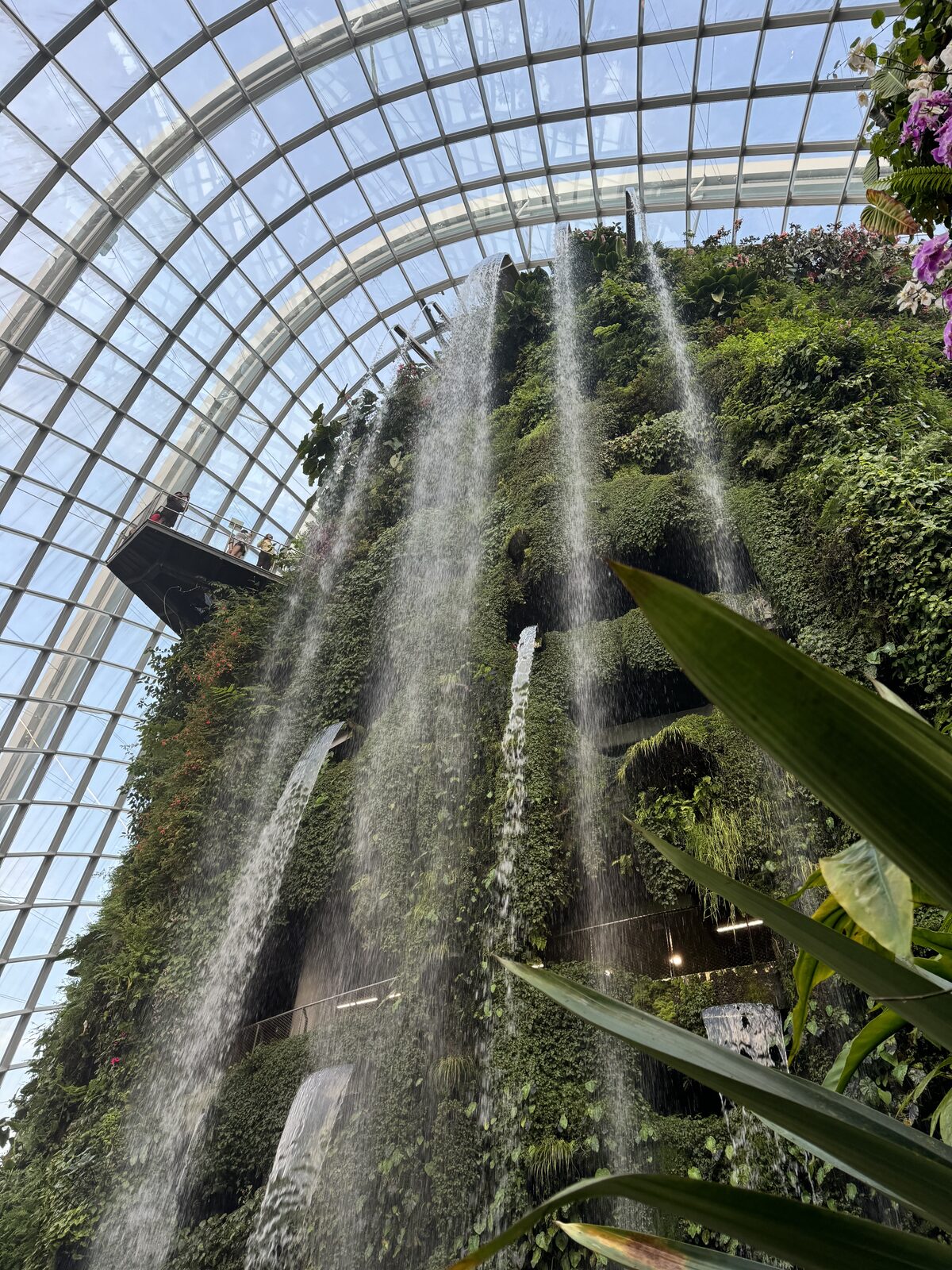 Cloud Forest dome interior