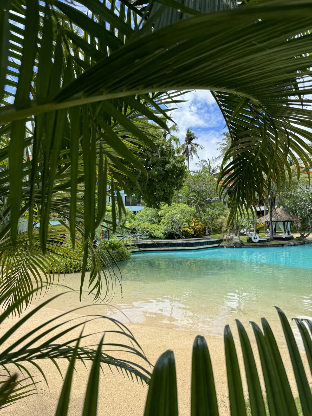 Lagoon resort pool framed by palms